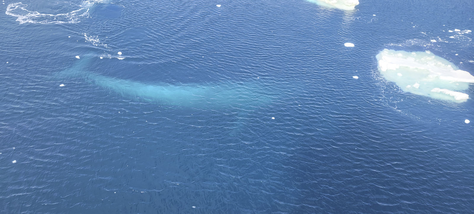 GYT 20221113 112629 20221113 112629