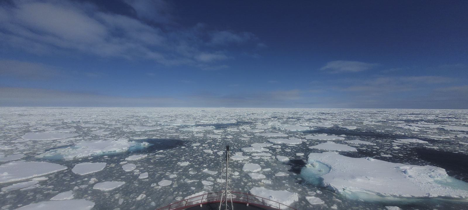 GYT 20221113 125254 20221113 125254