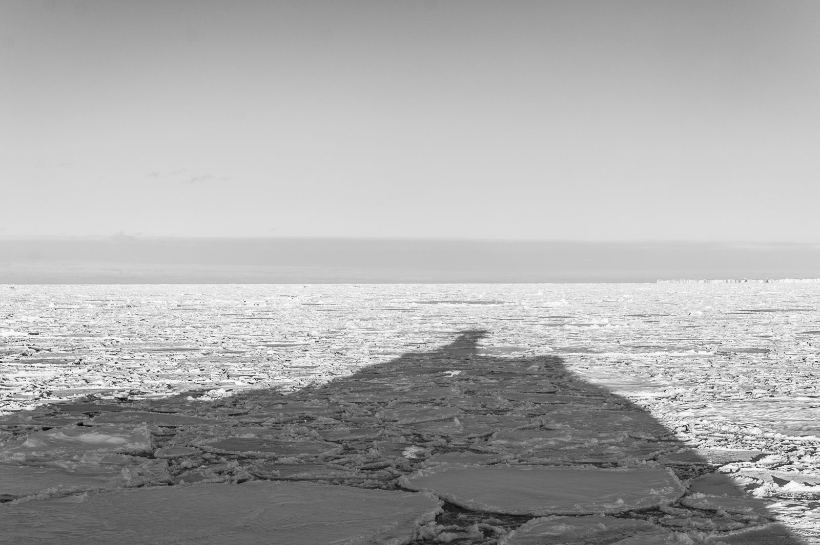 GYT 20221113 125851  DSC7755