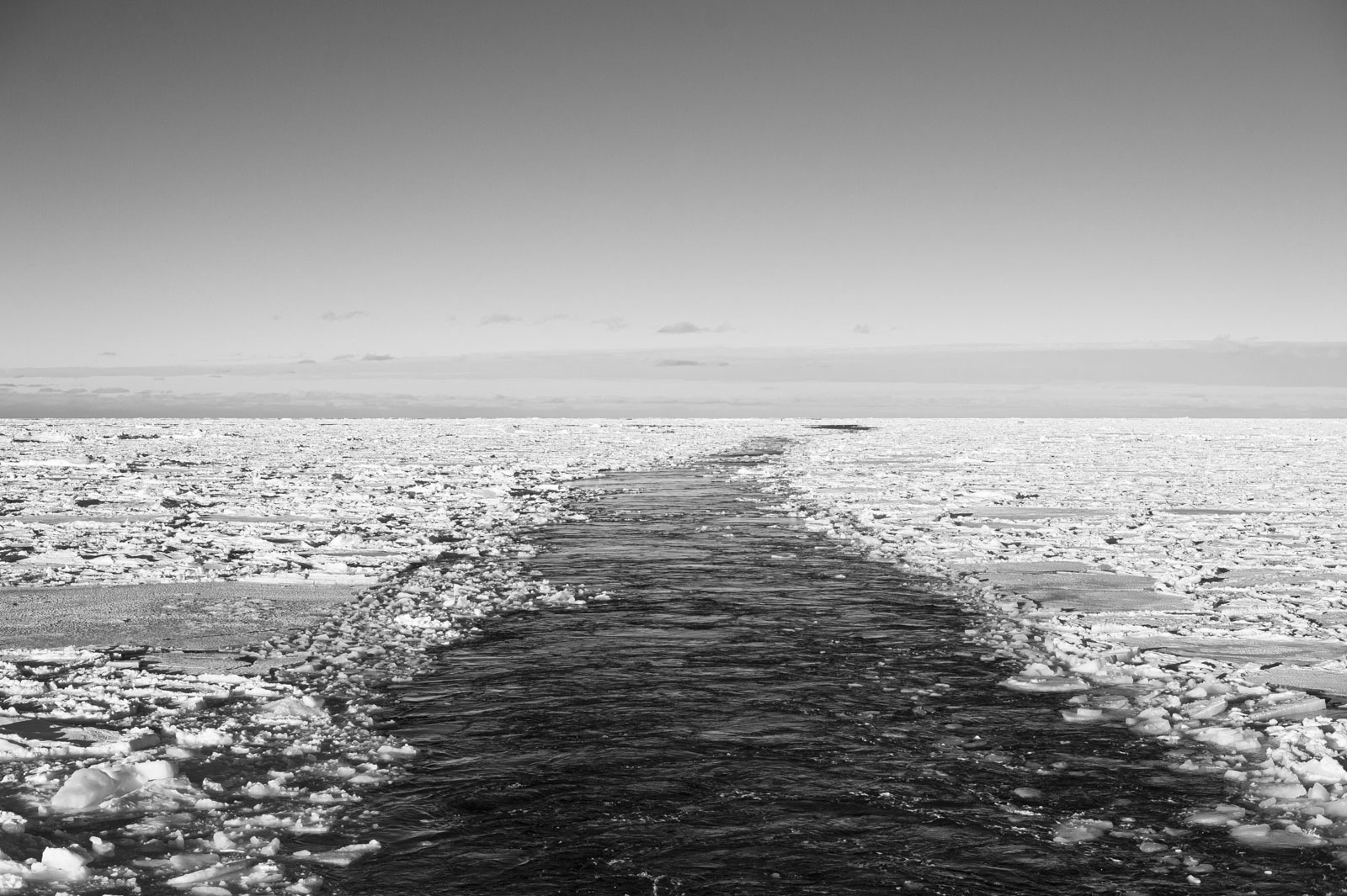 GYT 20221113 125928  DSC7756 2