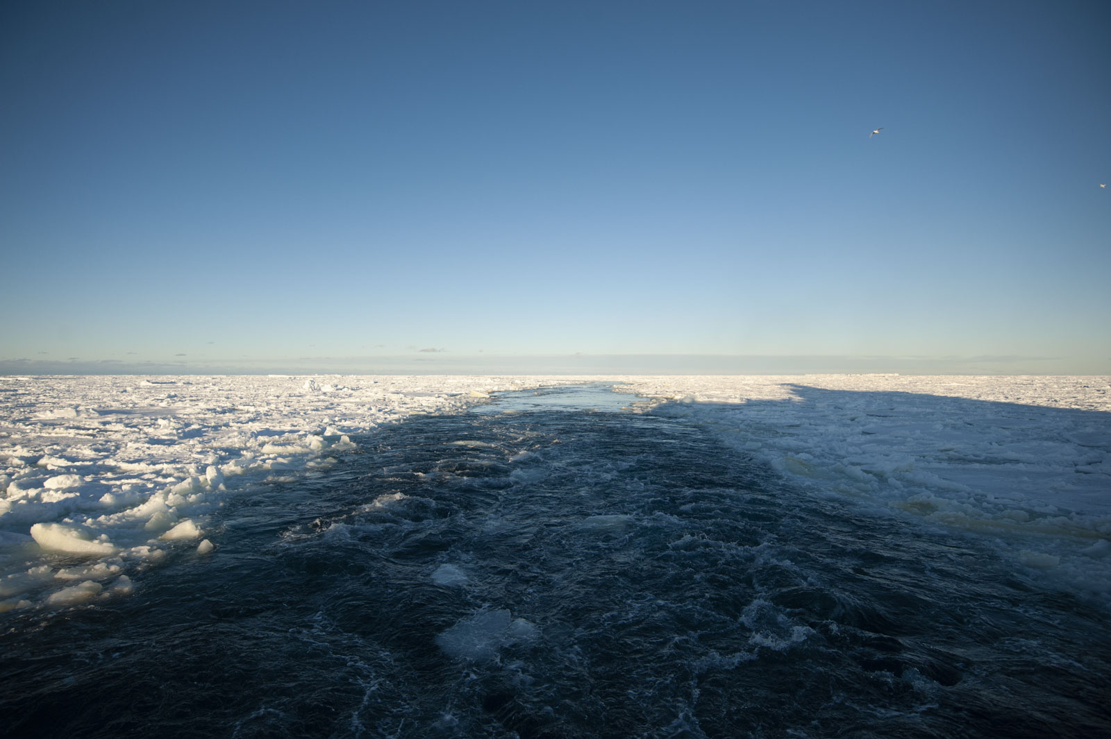 GYT 20221113 130052  DSC7757