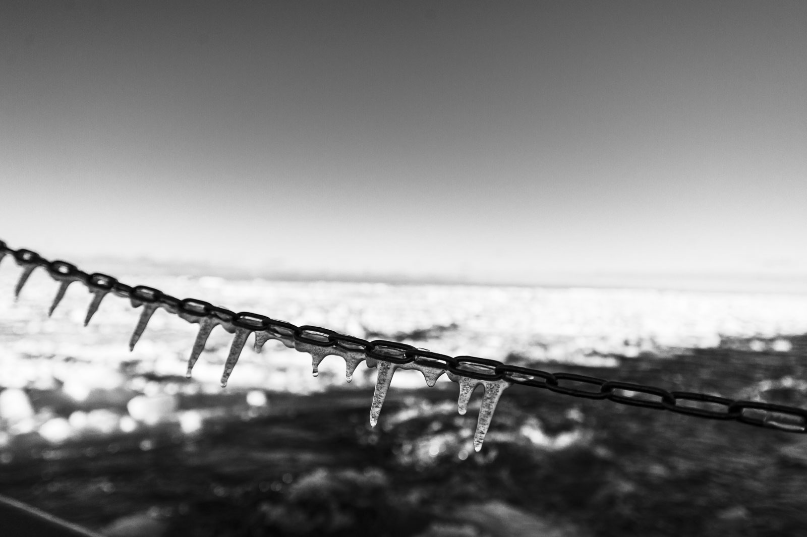 GYT 20221113 130108  DSC7758