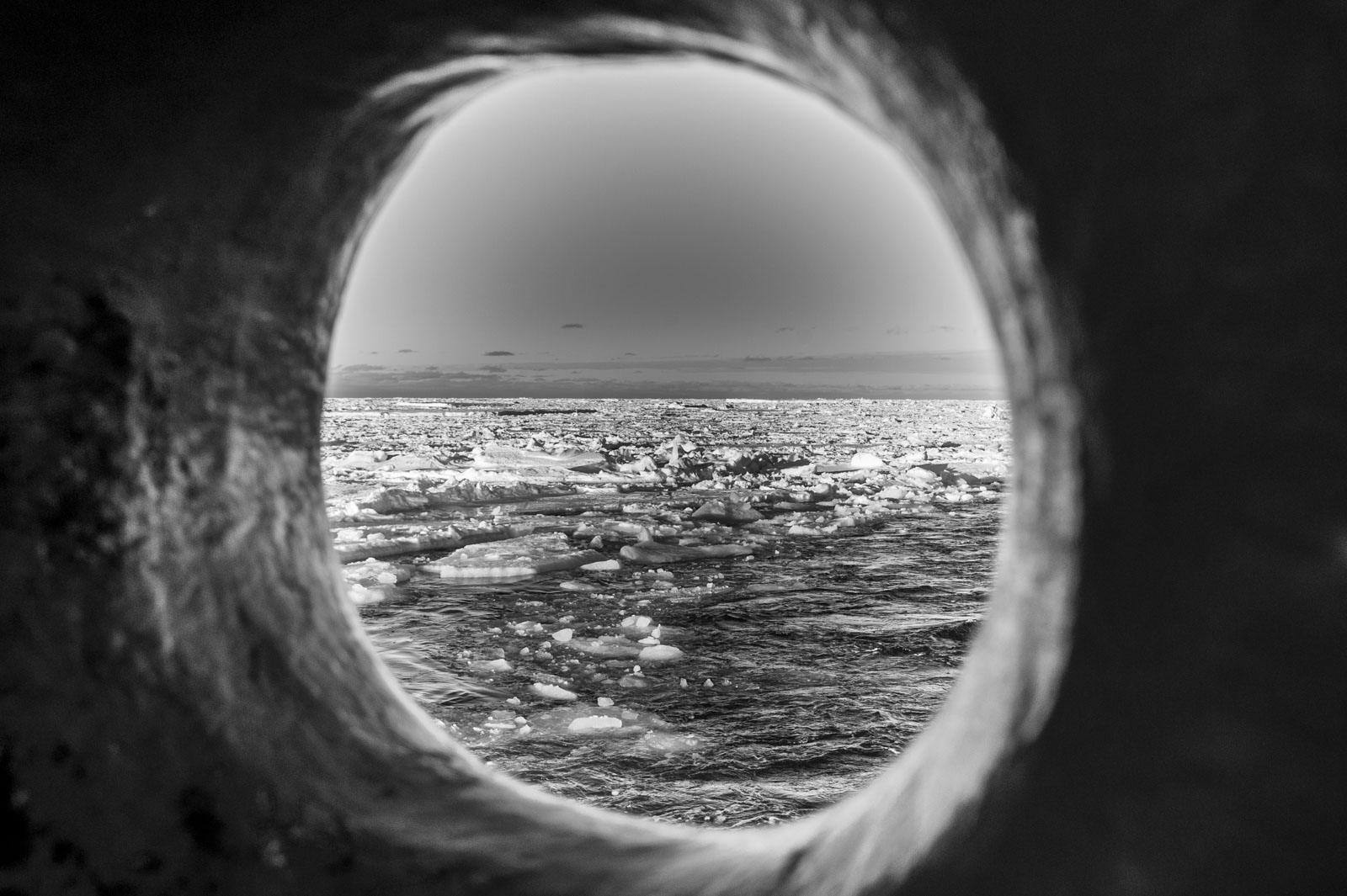 GYT 20221113 130126  DSC7759 2