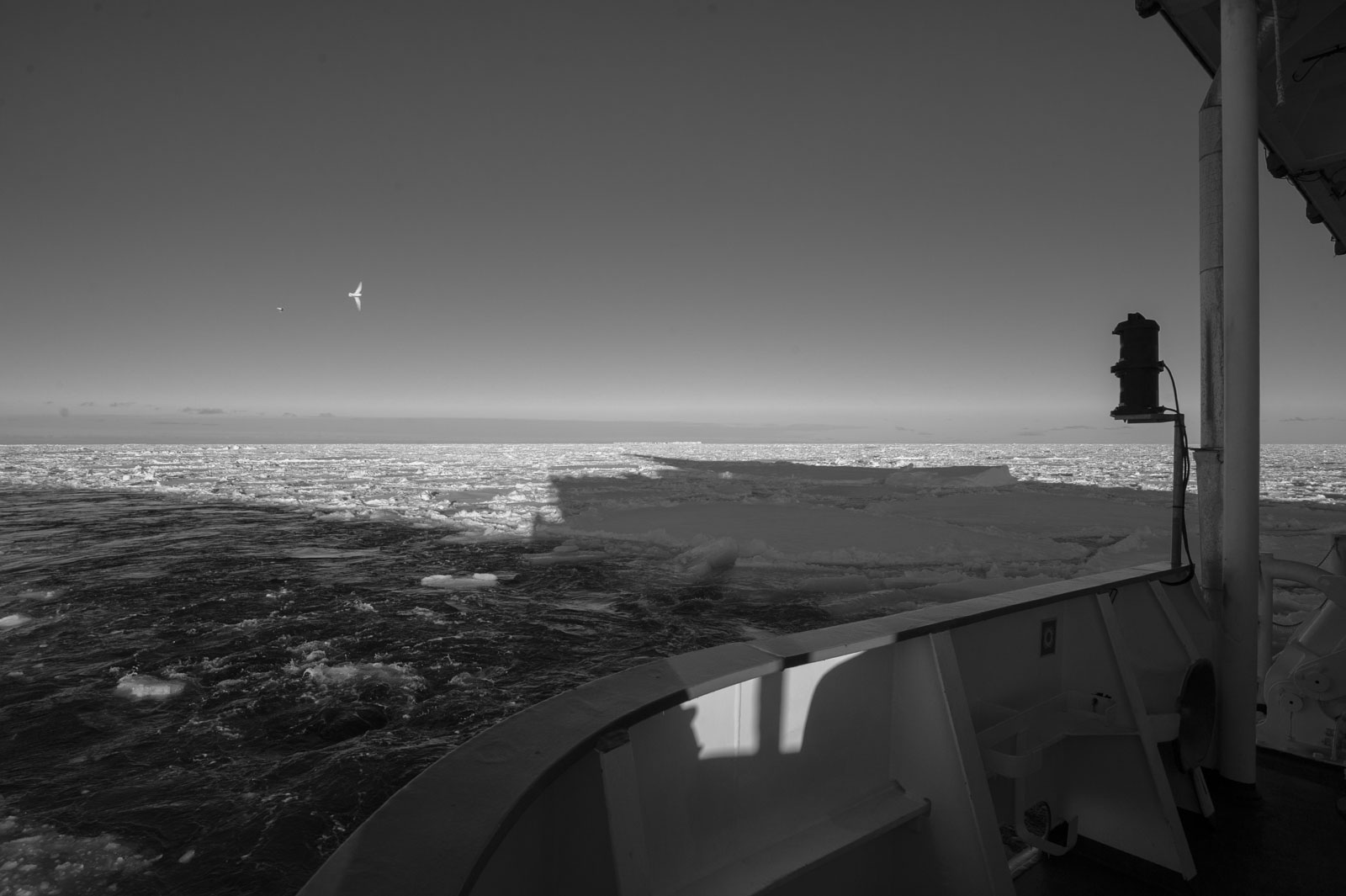 GYT 20221113 130445  DSC7760