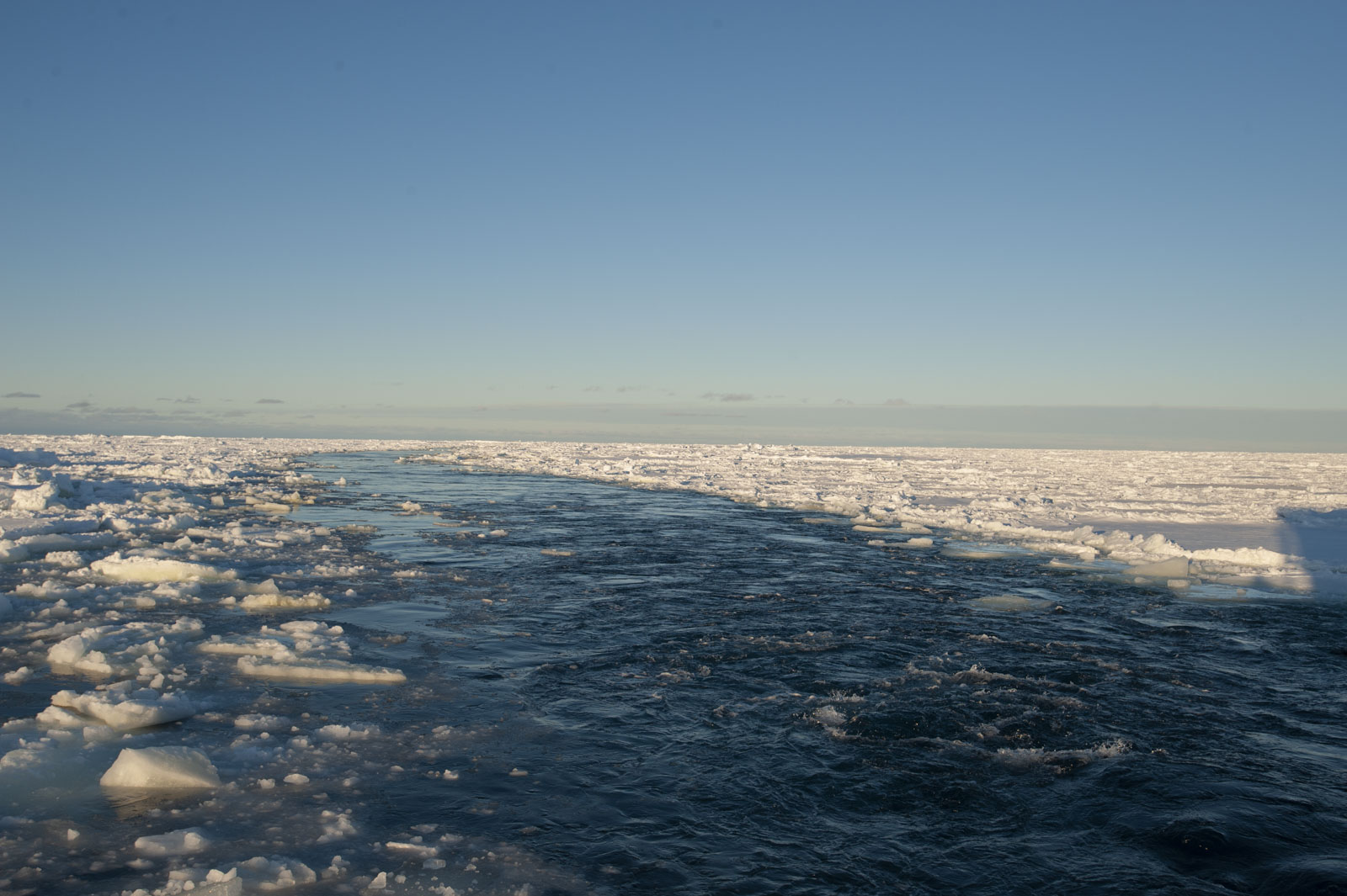 GYT 20221113 130452  DSC7761