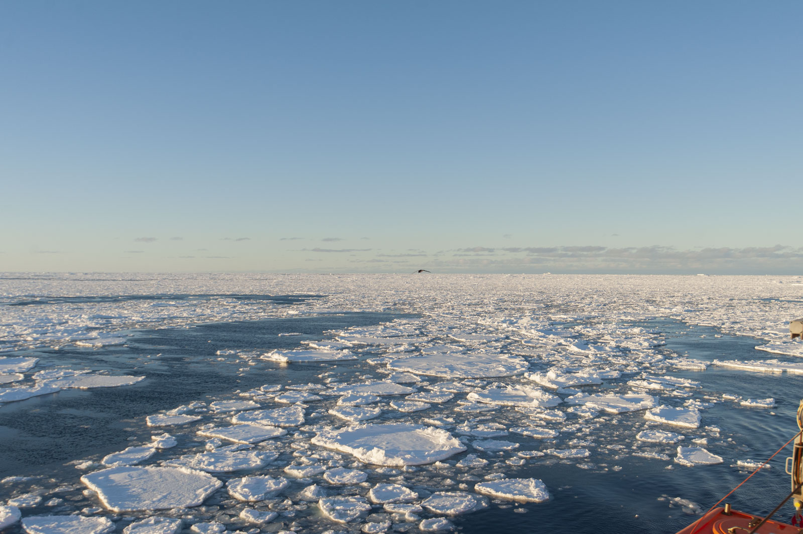 GYT 20221113 131425  DSC7763