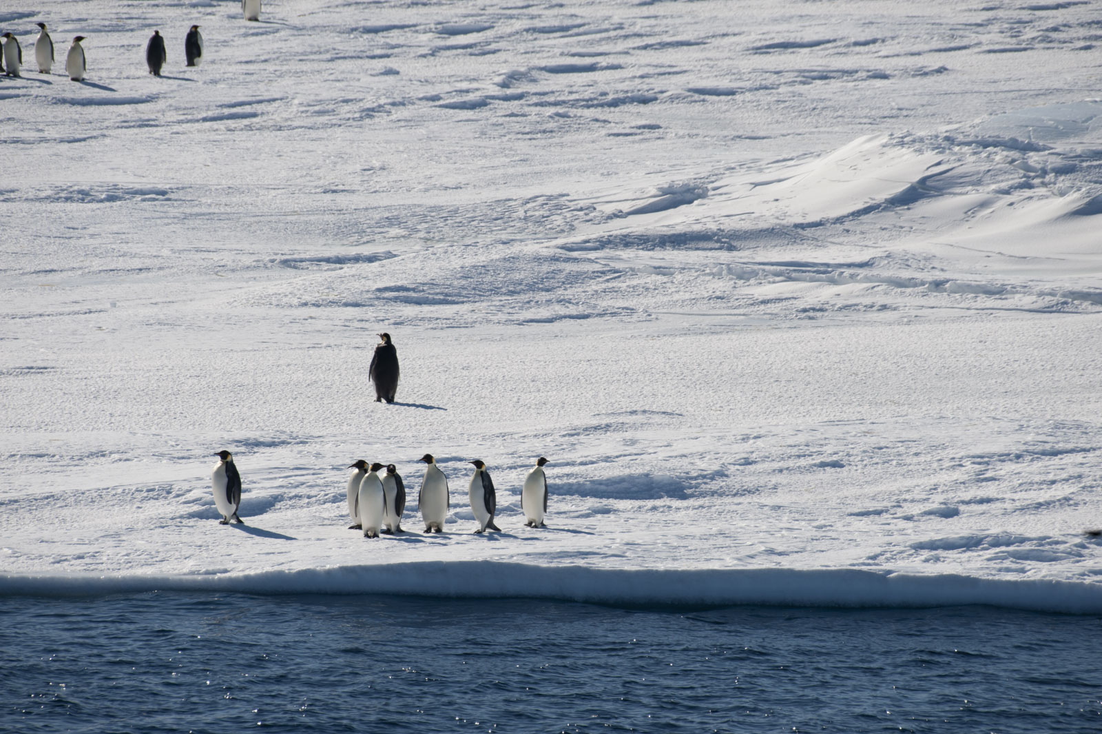 GYT 20221114 015216  DSC7764