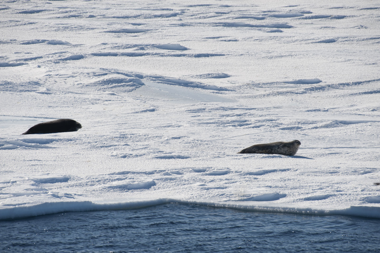 GYT 20221114 015243  DSC7765