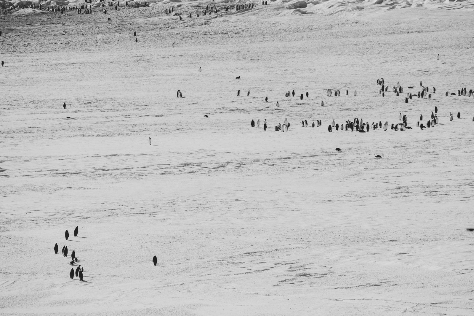 GYT 20221114 015301  DSC7767