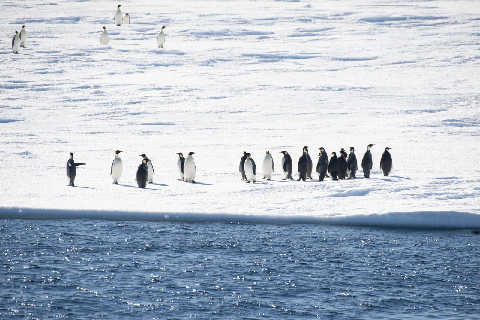 GYT 20221114 015618  DSC7768