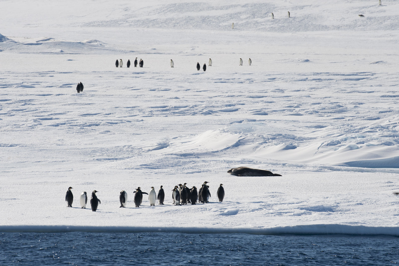 GYT 20221114 015635  DSC7770