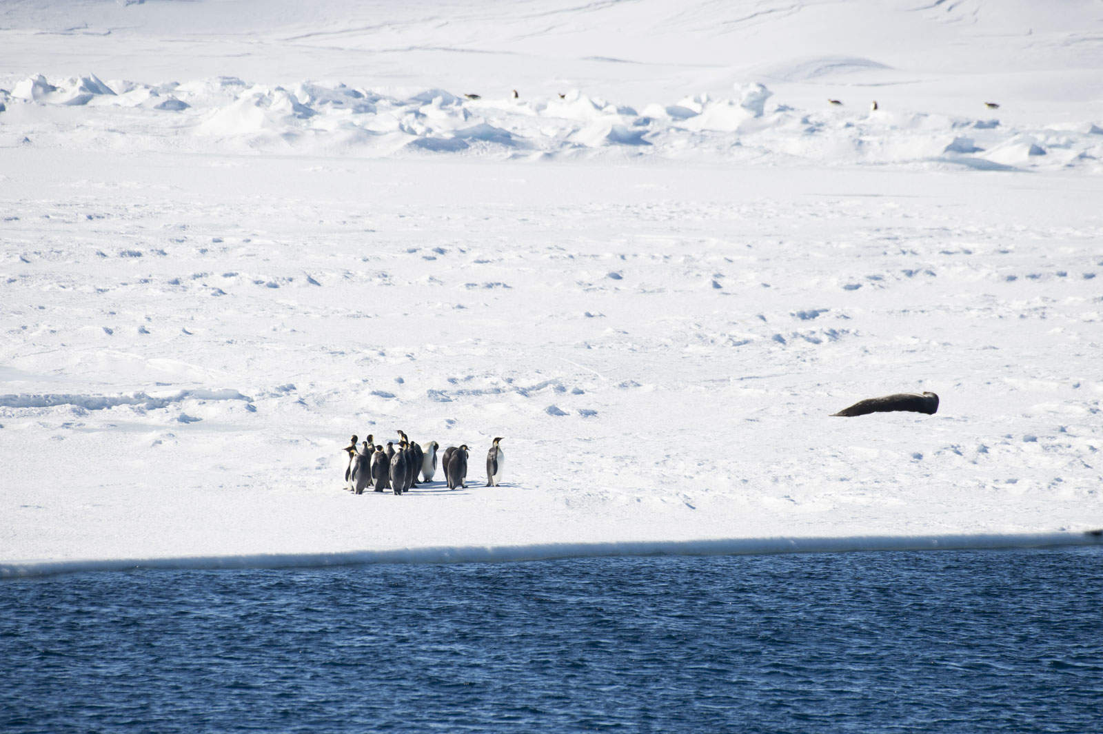 GYT 20221114 015731  DSC7774