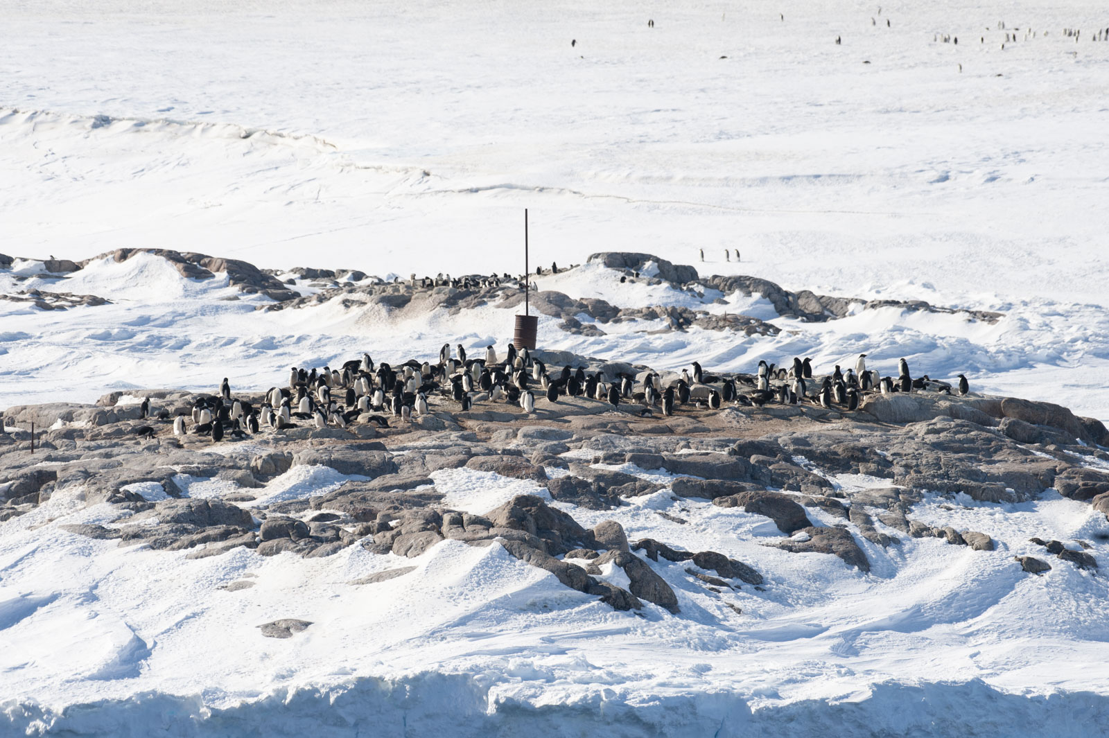 GYT 20221114 015744  DSC7775