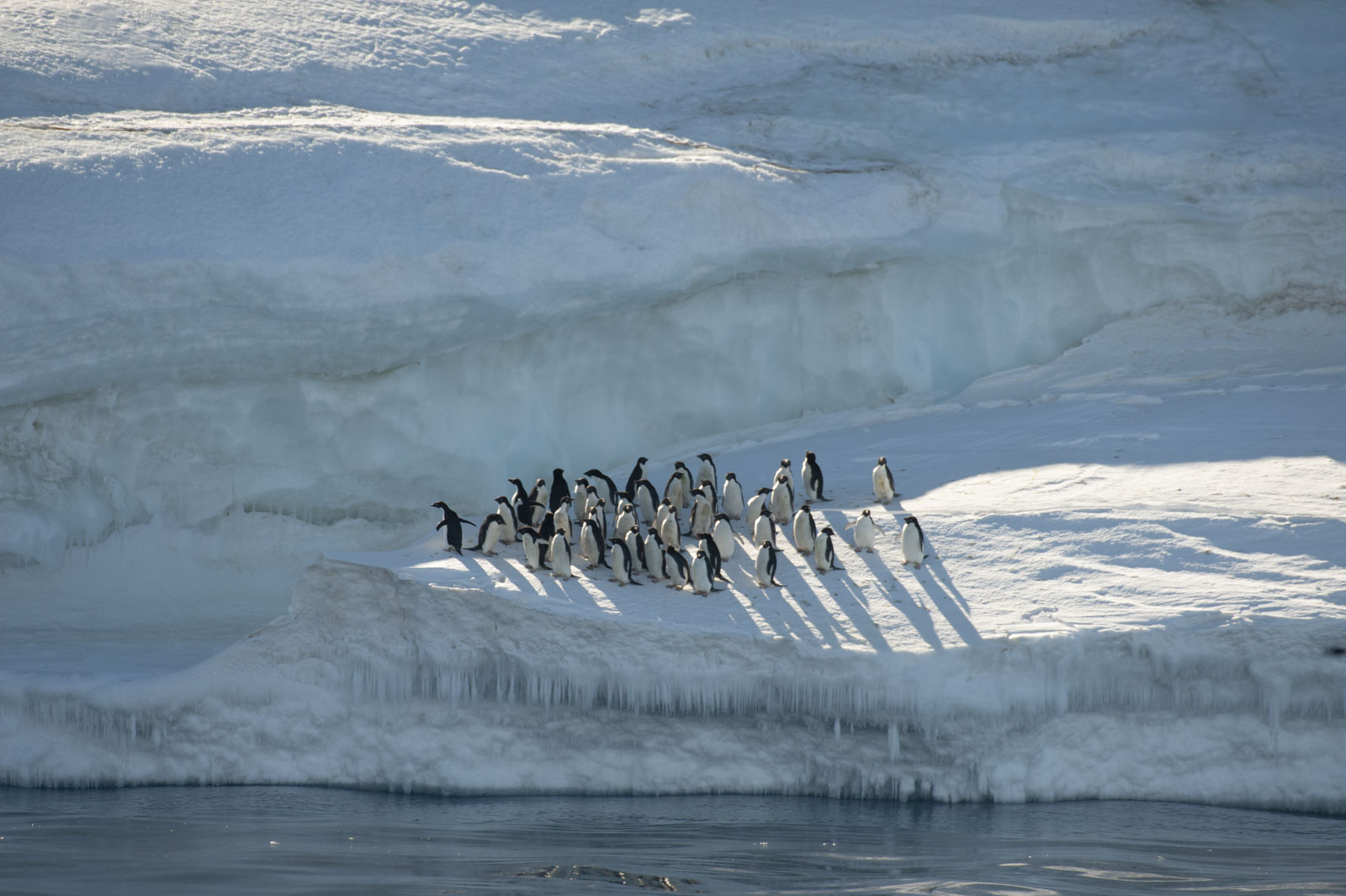 GYT 20221114 020051  DSC7776