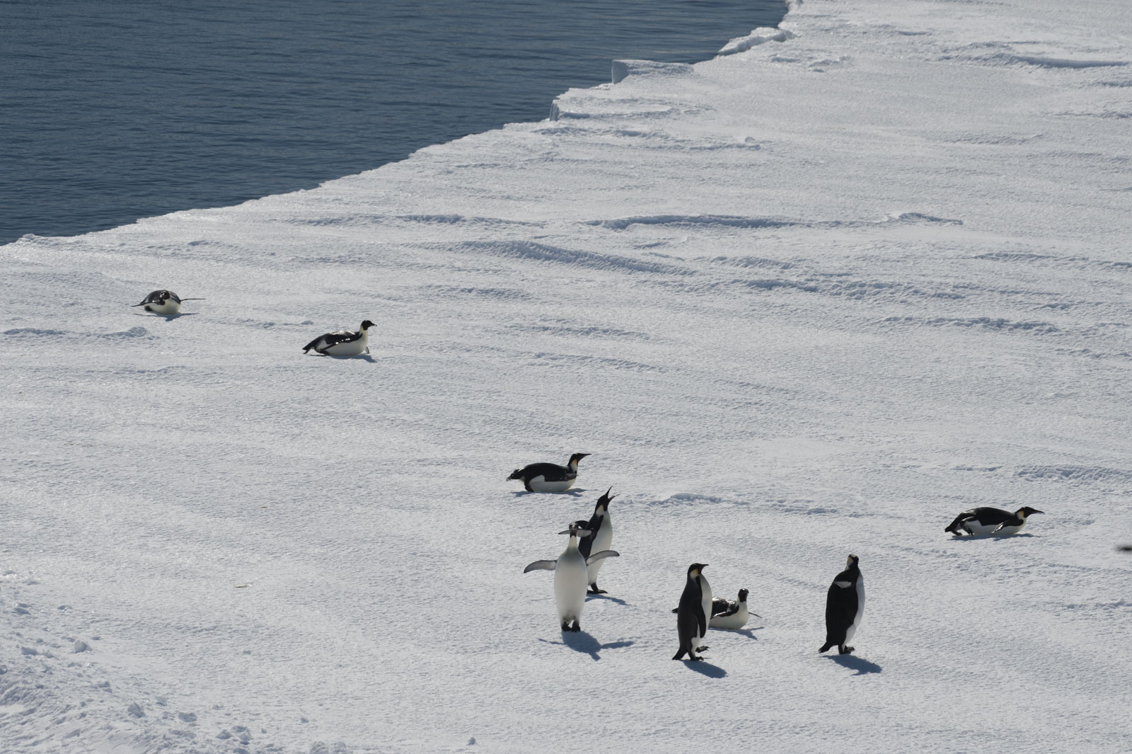 GYT 20221114 050739  DSC7780