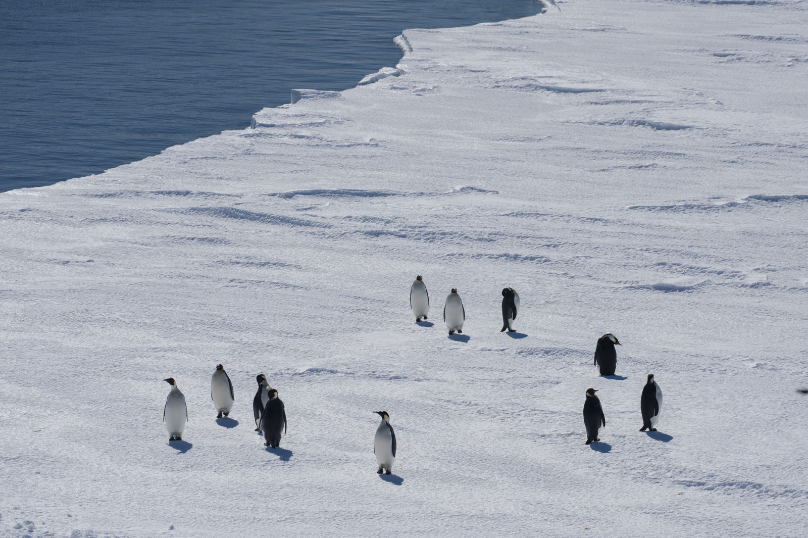 GYT 20221114 050820  DSC7785