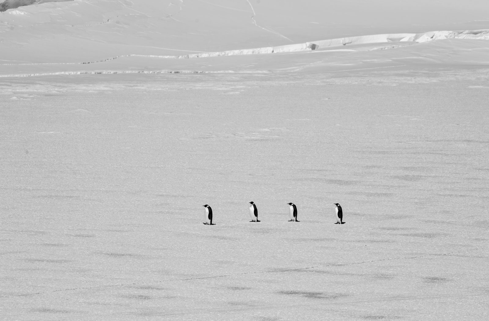 GYT 20221114 050853  DSC7791 2