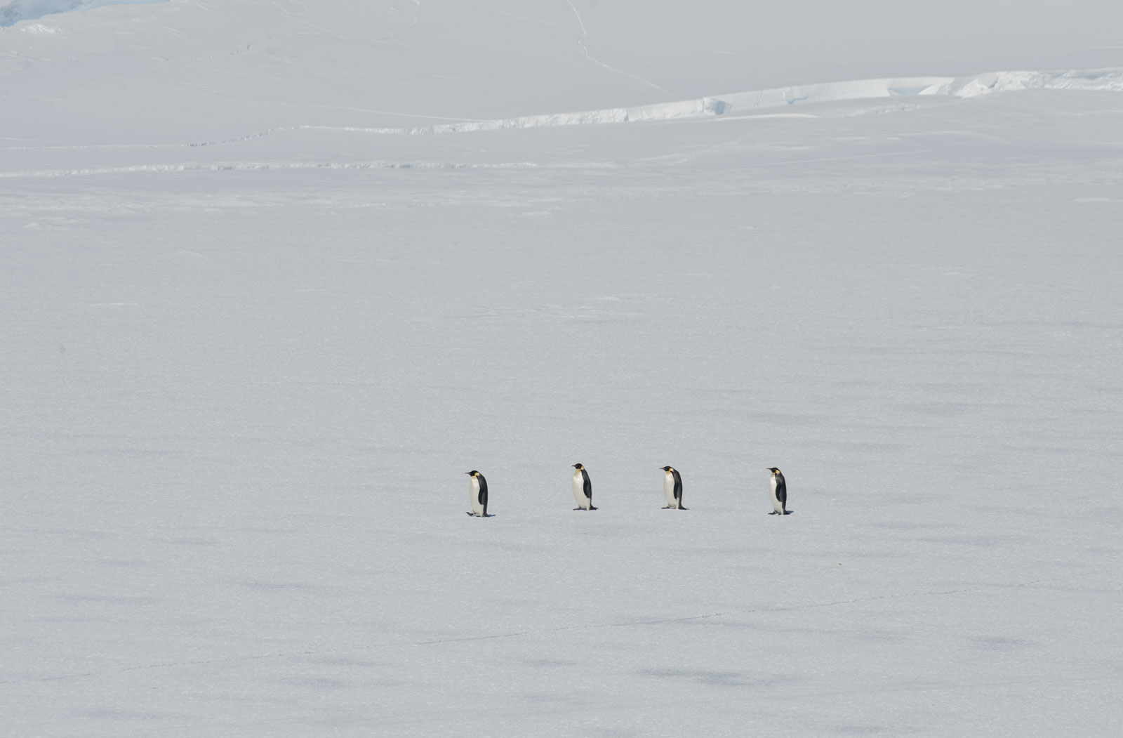 GYT 20221114 050853  DSC7791