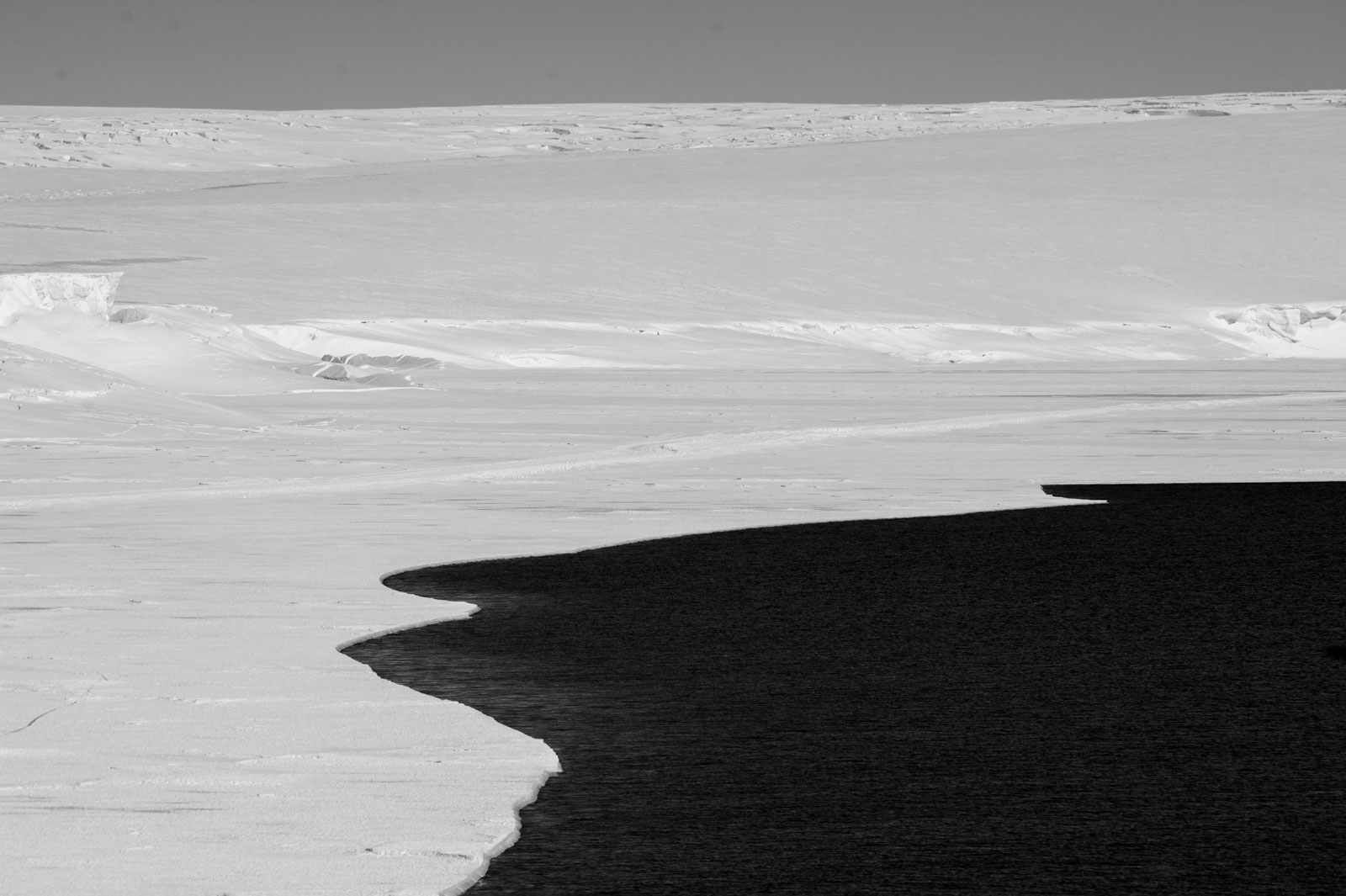 GYT 20221114 054244  DSC7802