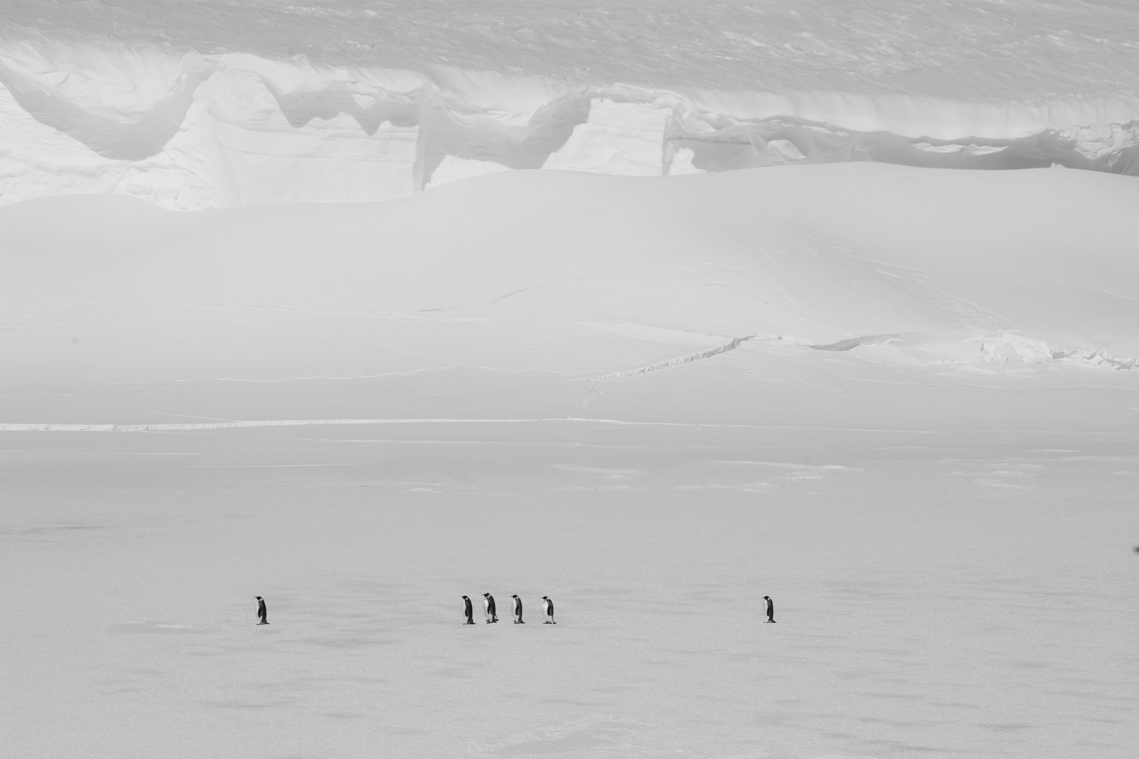 GYT 20221114 054251  DSC7803