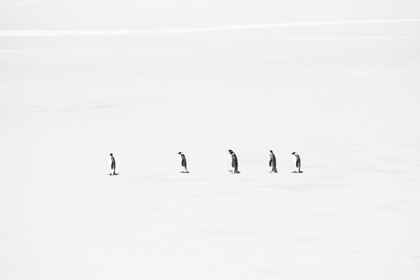 GYT 20221114 054309  DSC7804 2