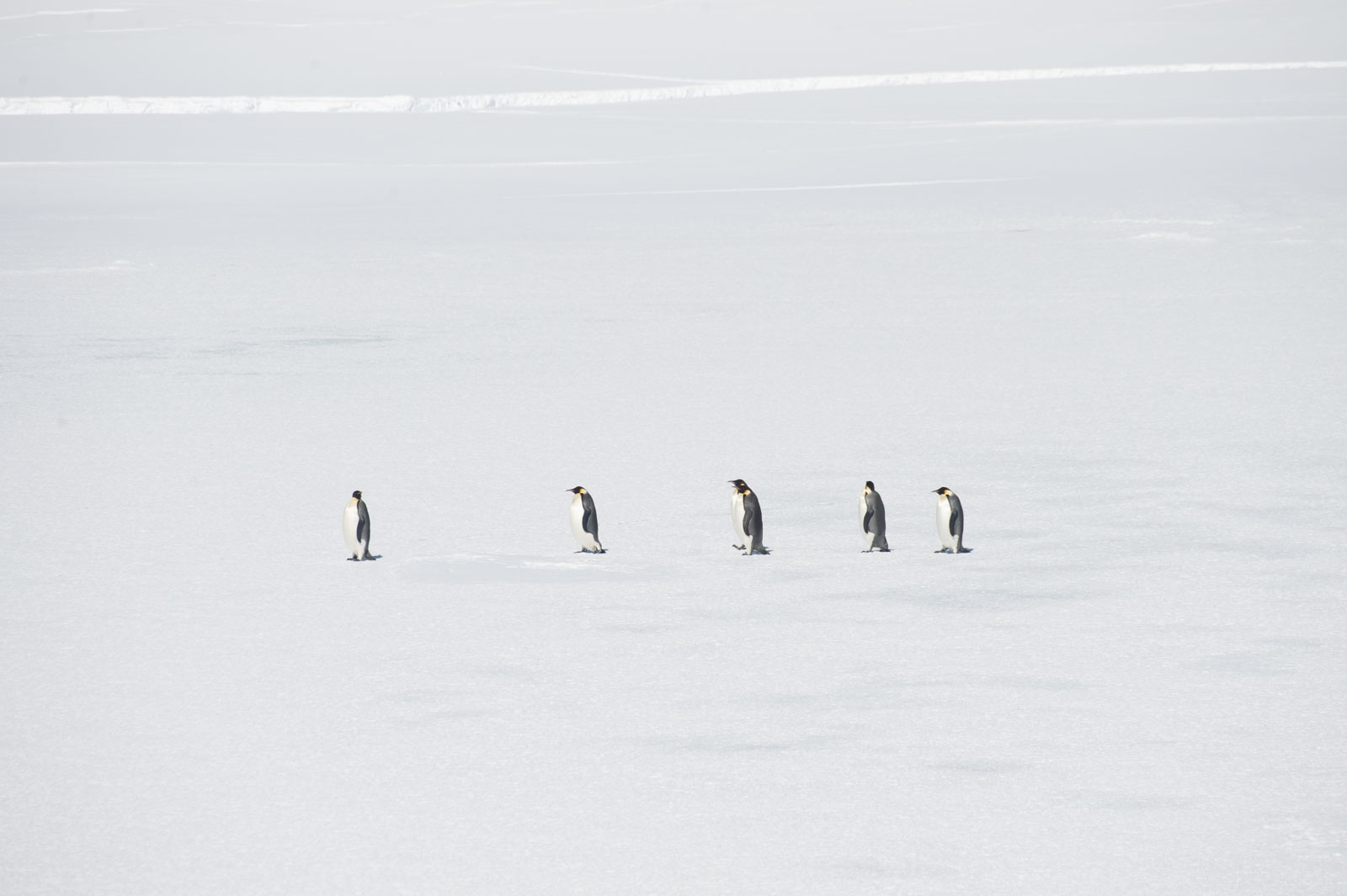 GYT 20221114 054309  DSC7804