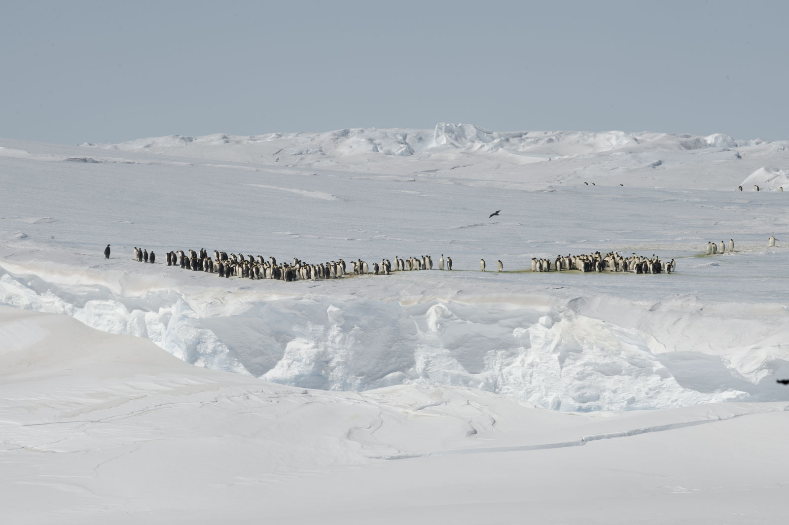 GYT 20221114 054331  DSC7806