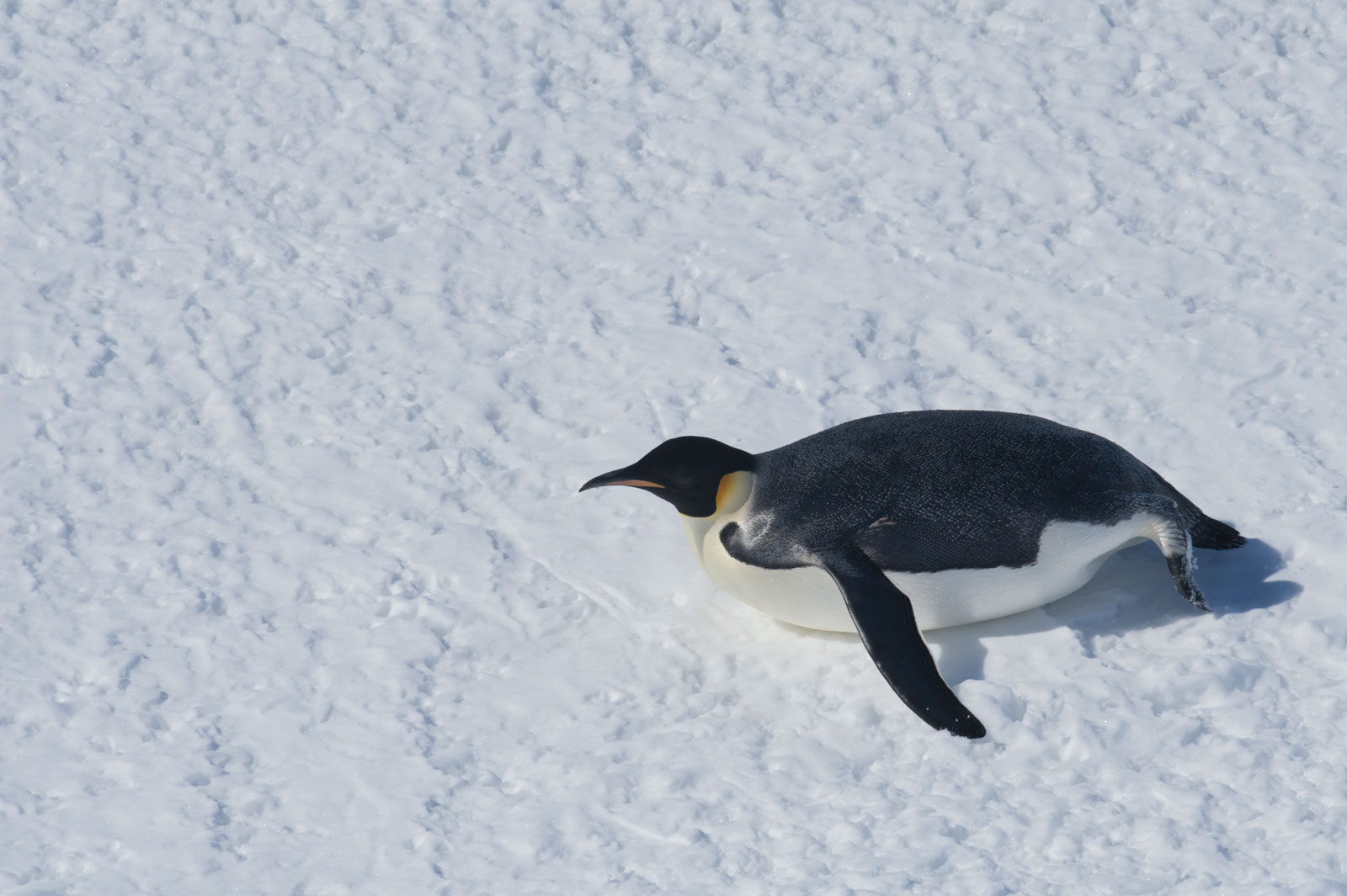 GYT 20221114 054338  DSC7807