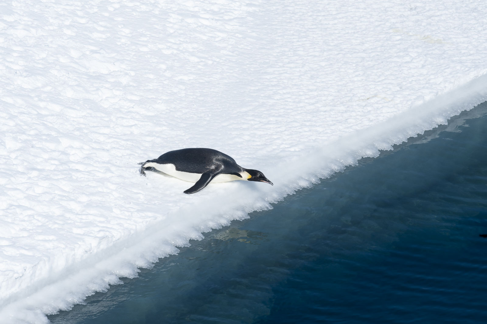 GYT 20221114 055814  DSC7815