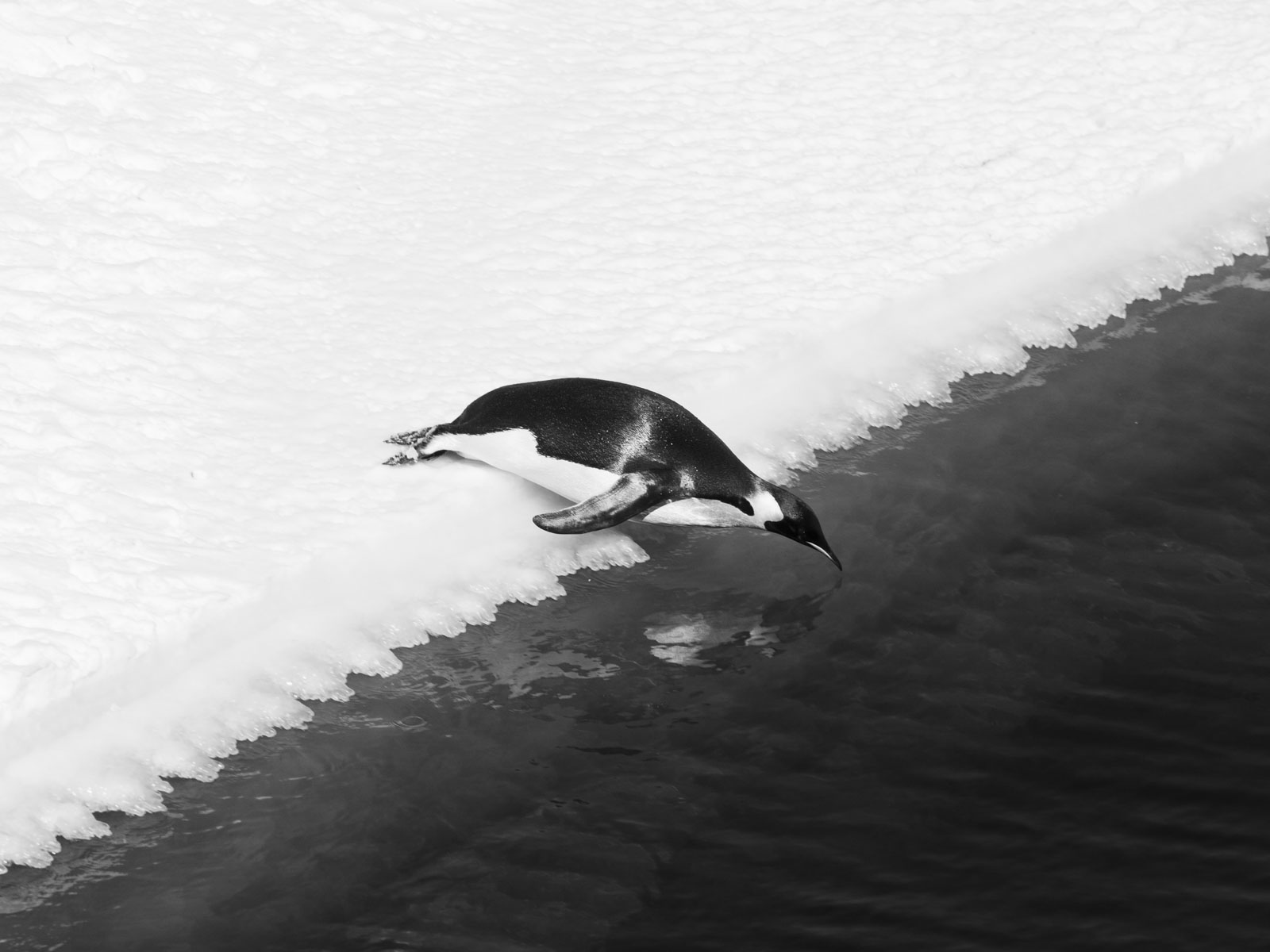 GYT 20221114 055814  DSC7816 2