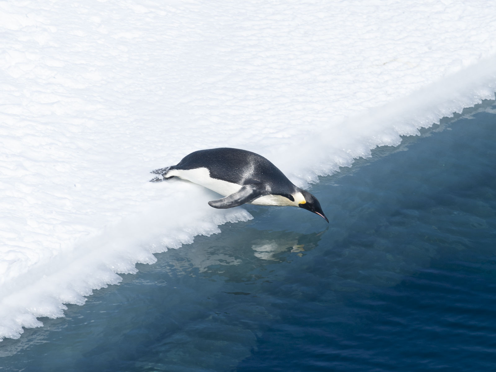 GYT 20221114 055814  DSC7816