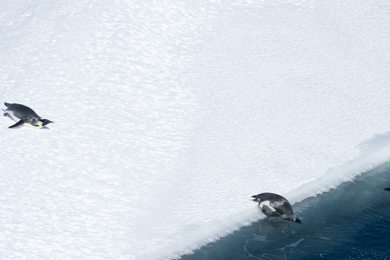 GYT 20221114 055839  DSC7829