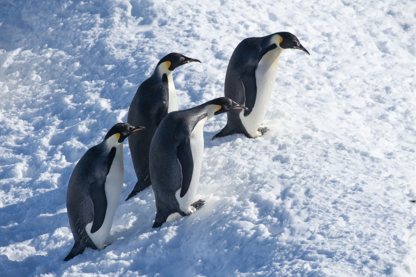 GYT 20221114 093825  DSC7839