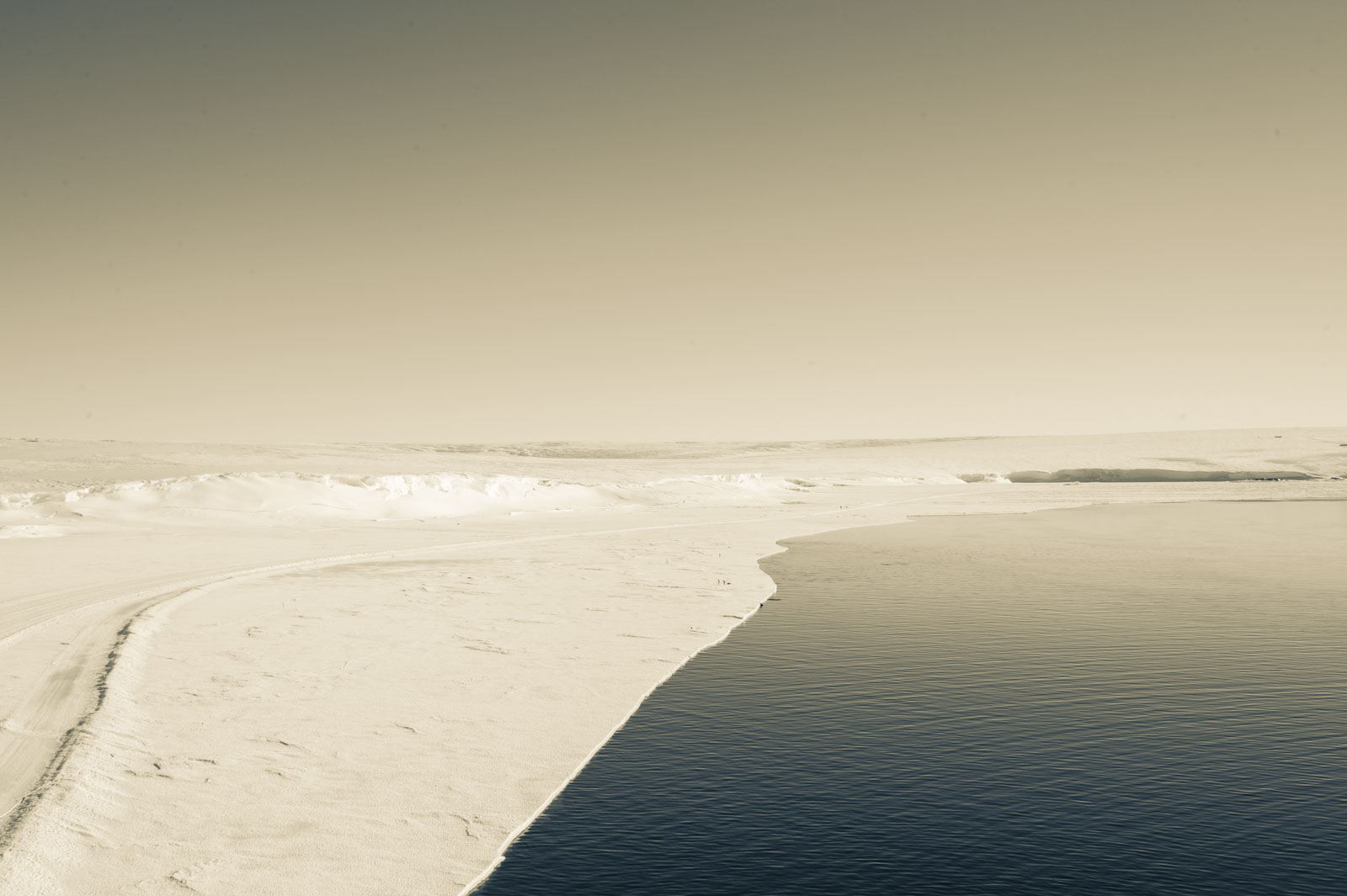 GYT 20221114 095651  DSC7845