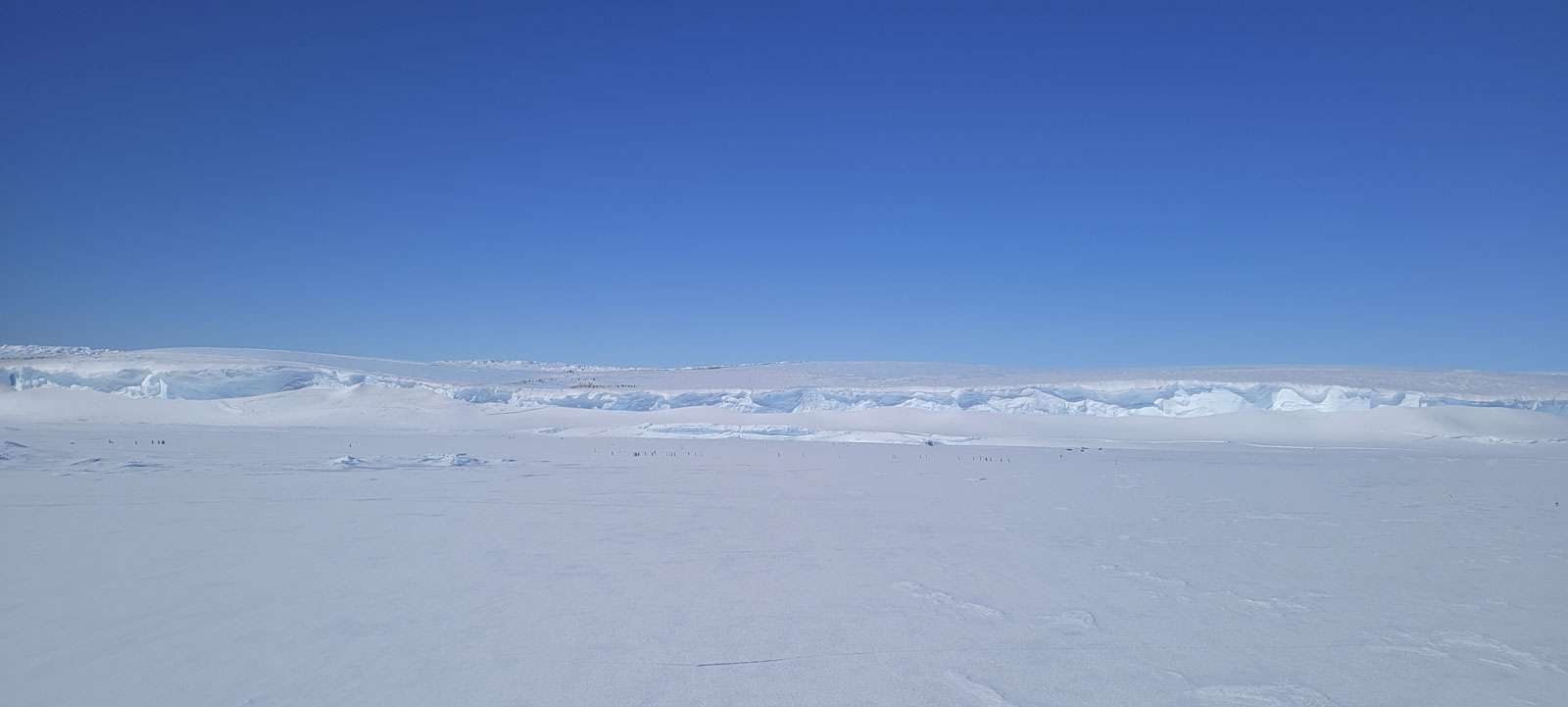 GYT 20221114 120250 20221114 120250