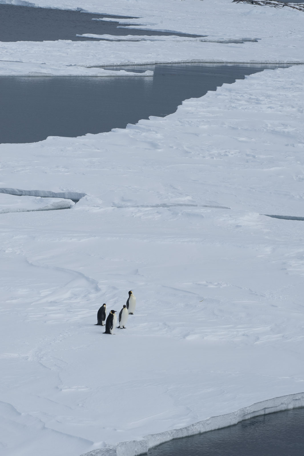 GYT 20221117 022418  DSC7887