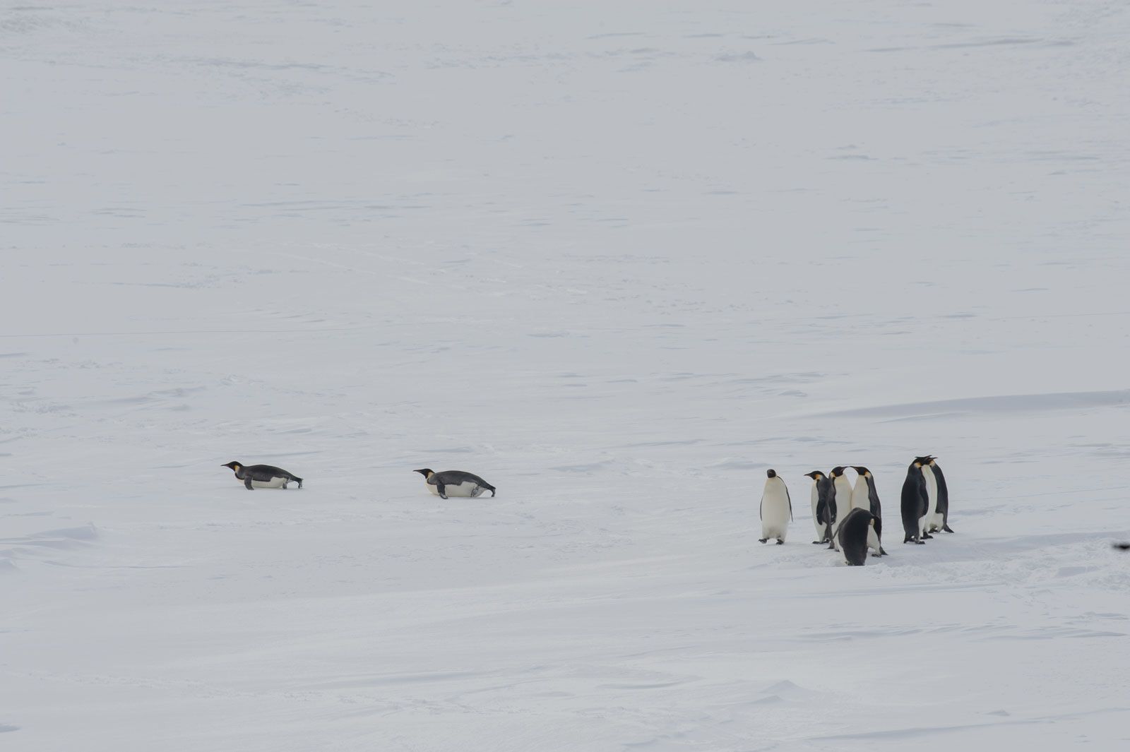 GYT 20221117 022656  DSC7888