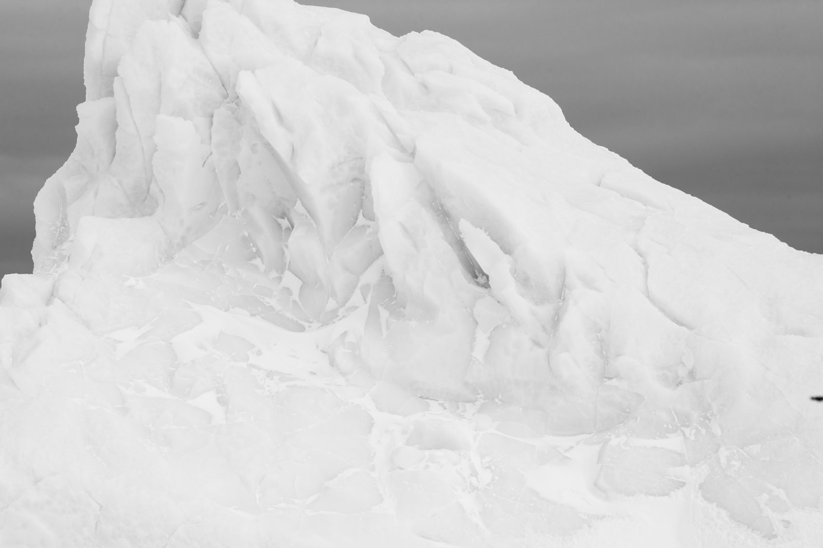 GYT 20221117 023138  DSC7889