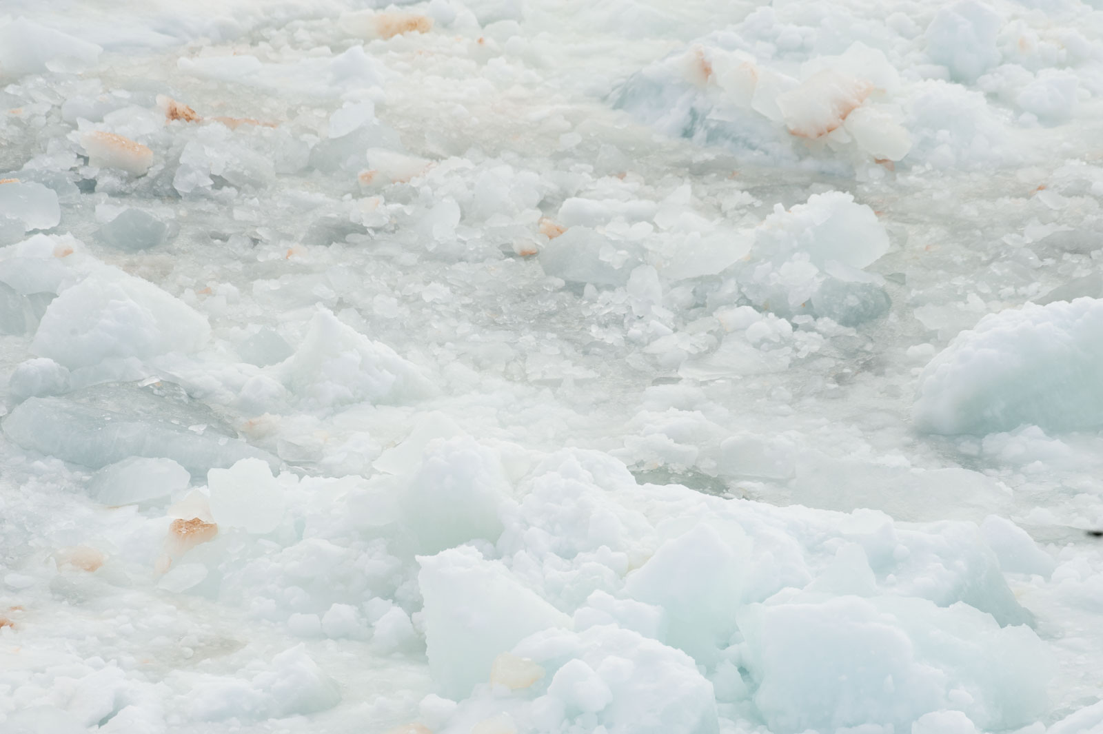 GYT 20221117 023147  DSC7890