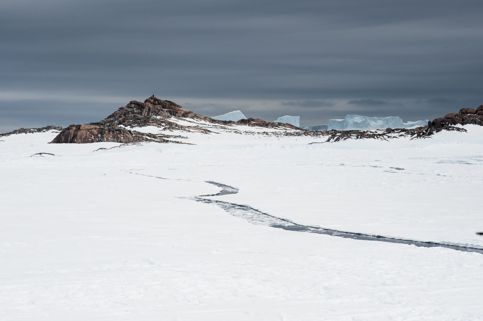 GYT 20221117 023331  DSC7892