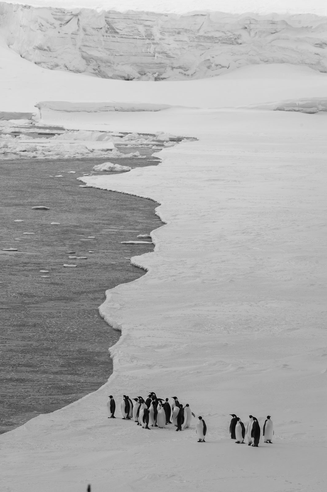 GYT 20221117 023545  DSC7893