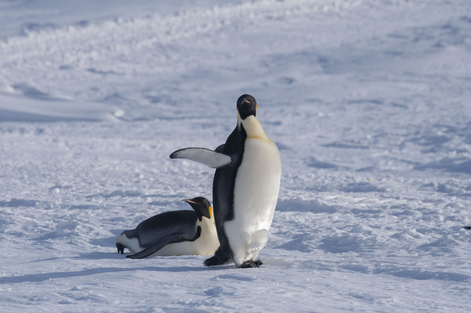 GYT 20221117 104503  DSC7894