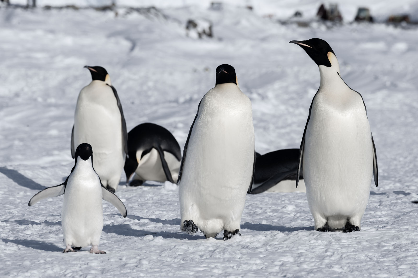 GYT 20221117 104541  DSC7897