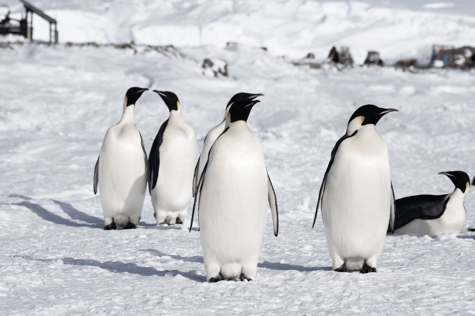 GYT 20221117 104611  DSC7899