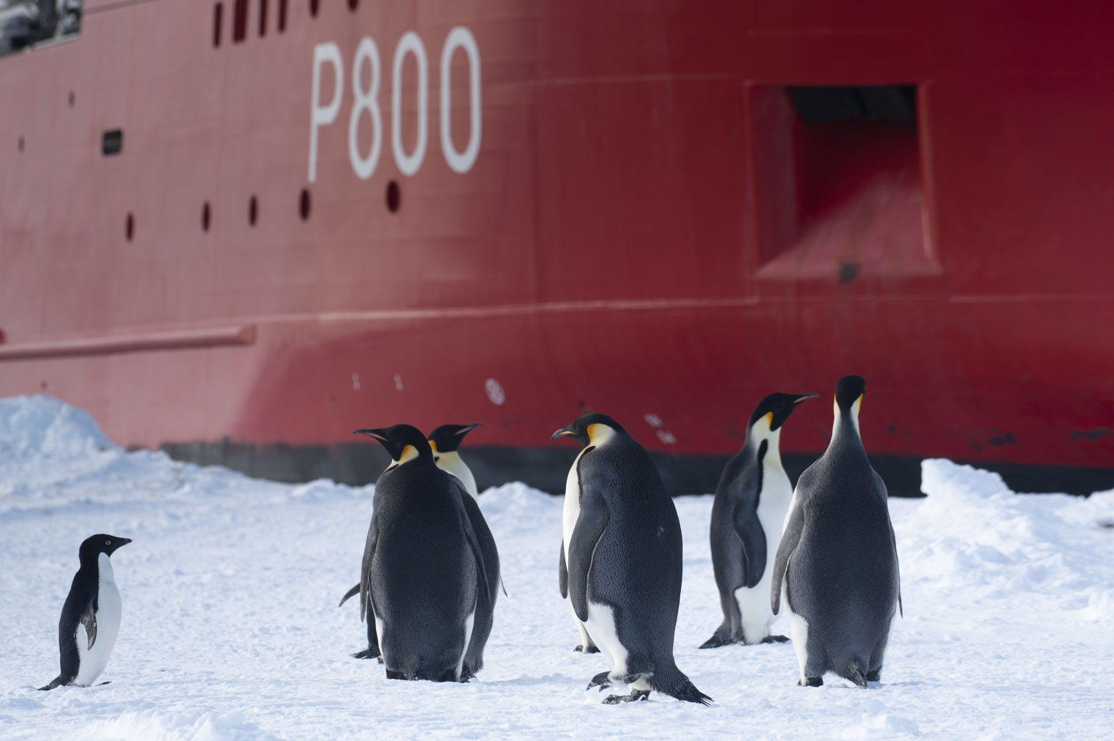 GYT 20221117 104823  DSC7900