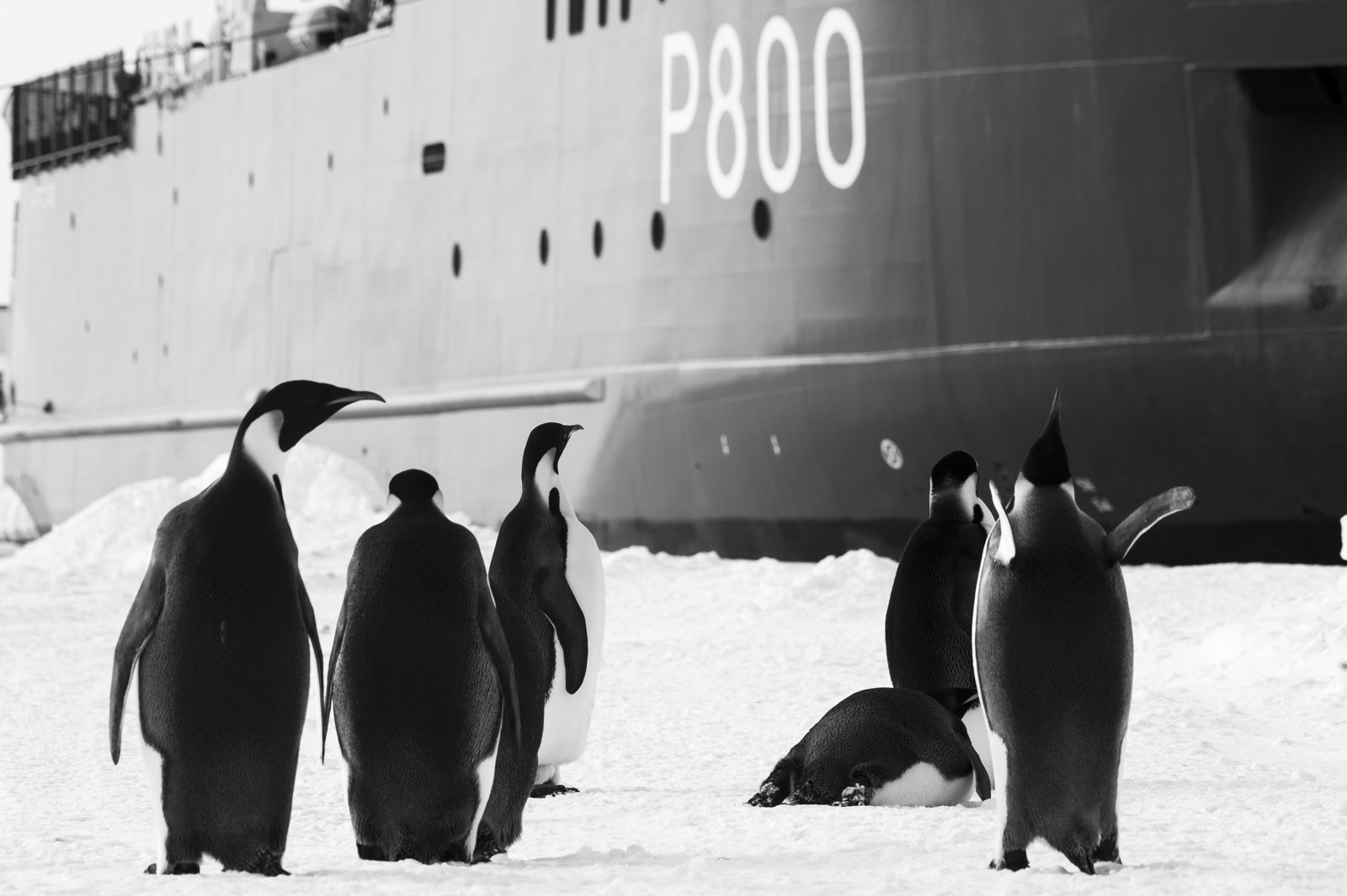 GYT 20221117 104850  DSC7902