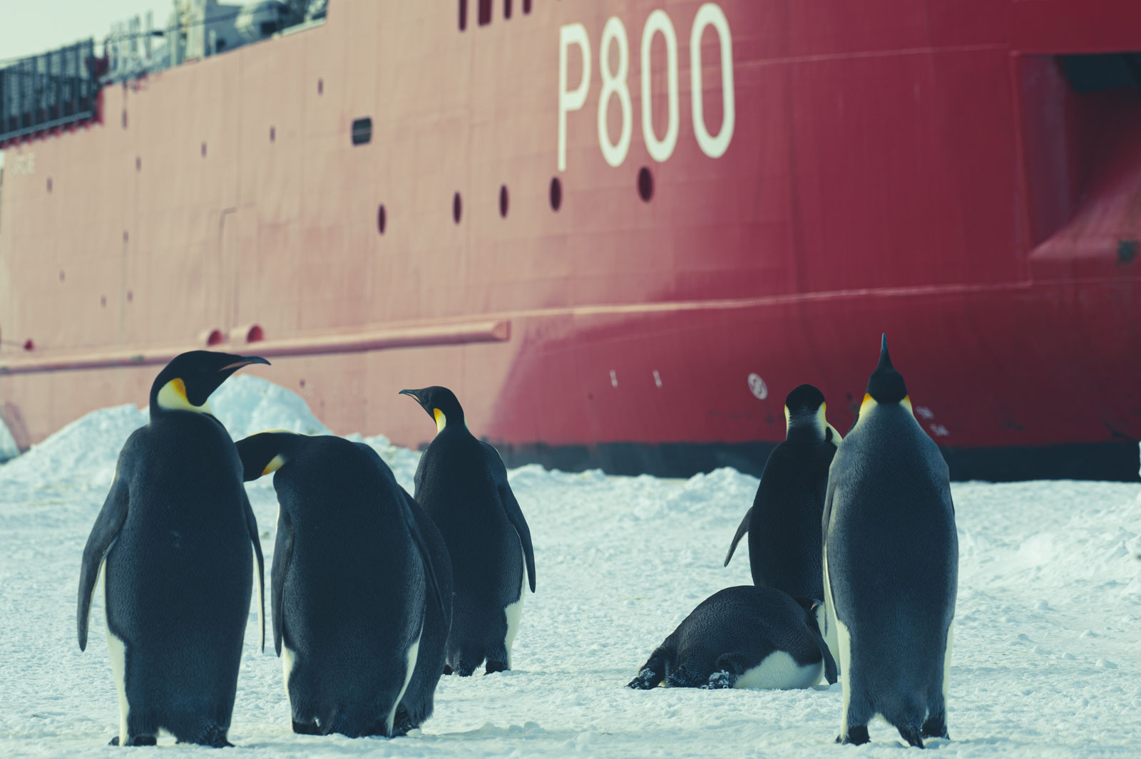 GYT 20221117 104852  DSC7903