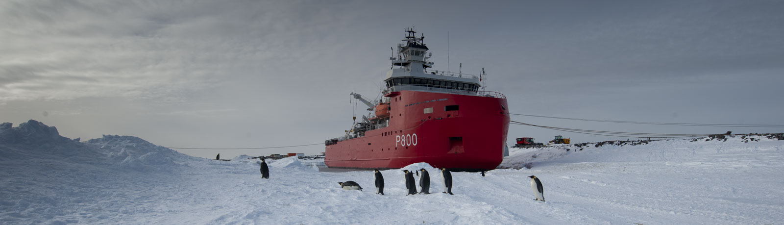 GYT 20221117 105039  DSC7908 2