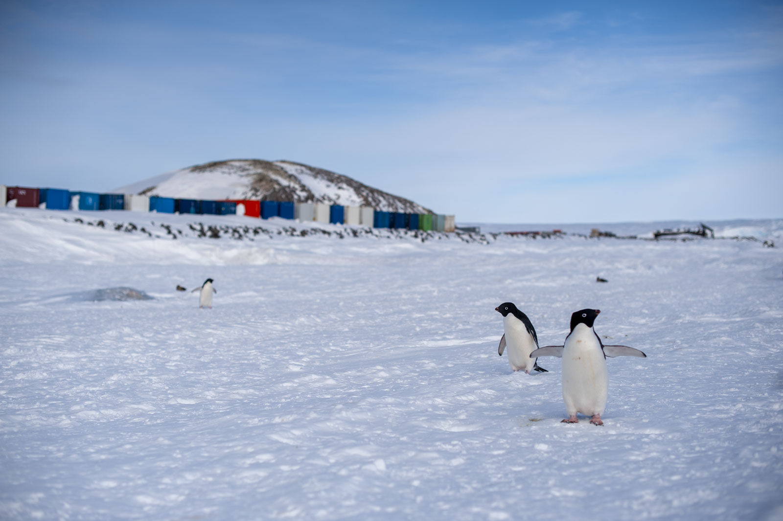 GYT 20221117 105222  DSC7911