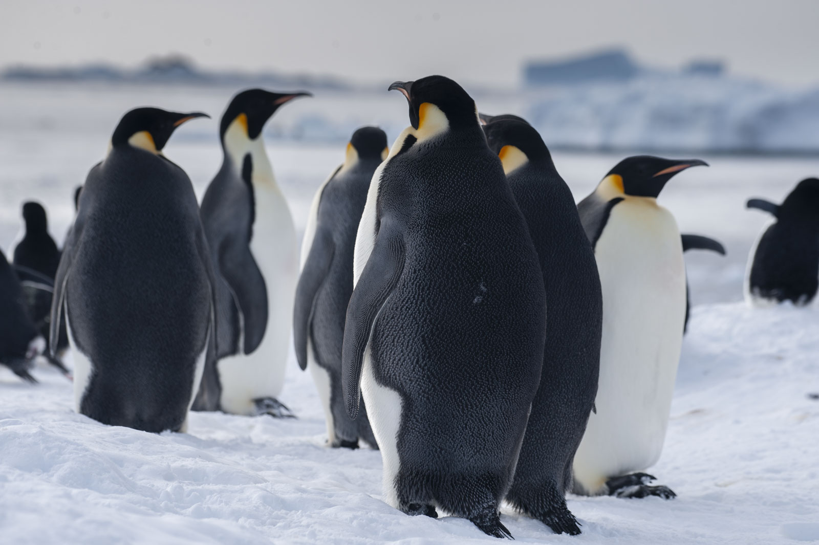 GYT 20221117 105635  DSC7915